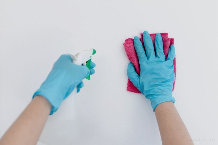 Cleaning (6)