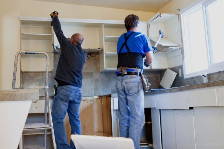 Fit out & Renovation